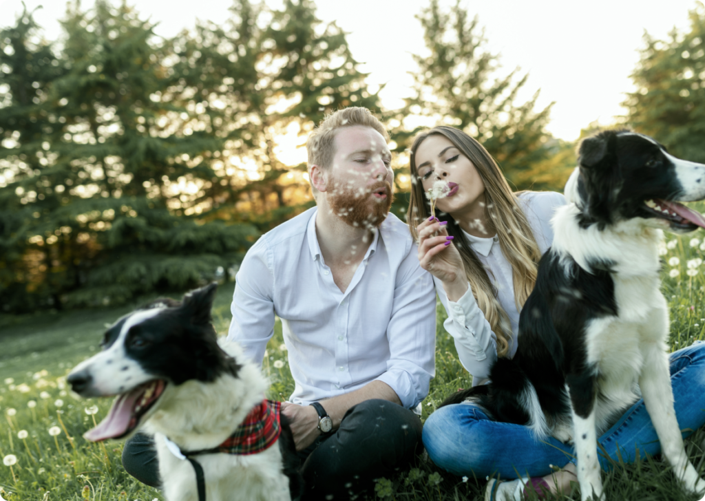 Ein Mann und eine Frau sitzen mit ihren Hunden auf dem Gras.